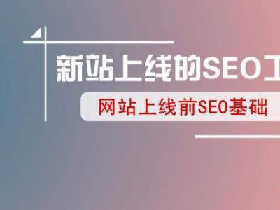 老站长的技术经验告诉新网站上线怎么做seo?